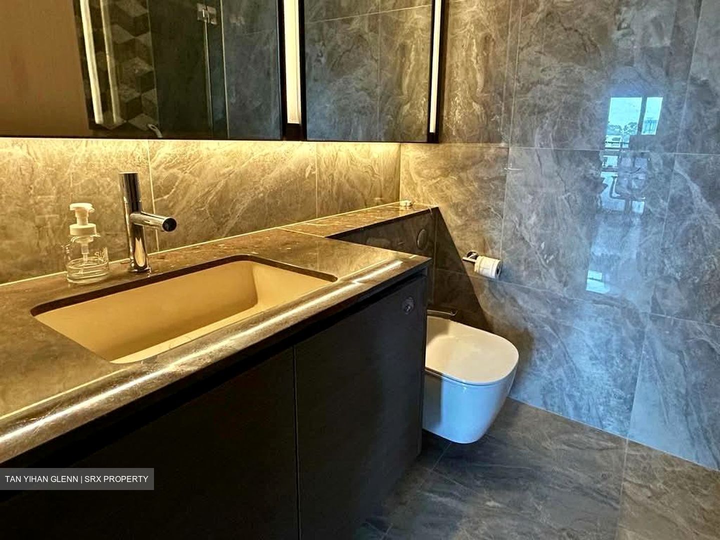 Leedon Green (D10), Condominium #560352371
